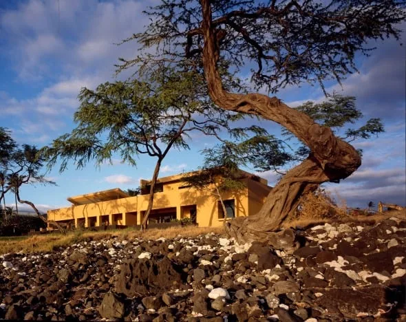 BARA HOUSE — image 4